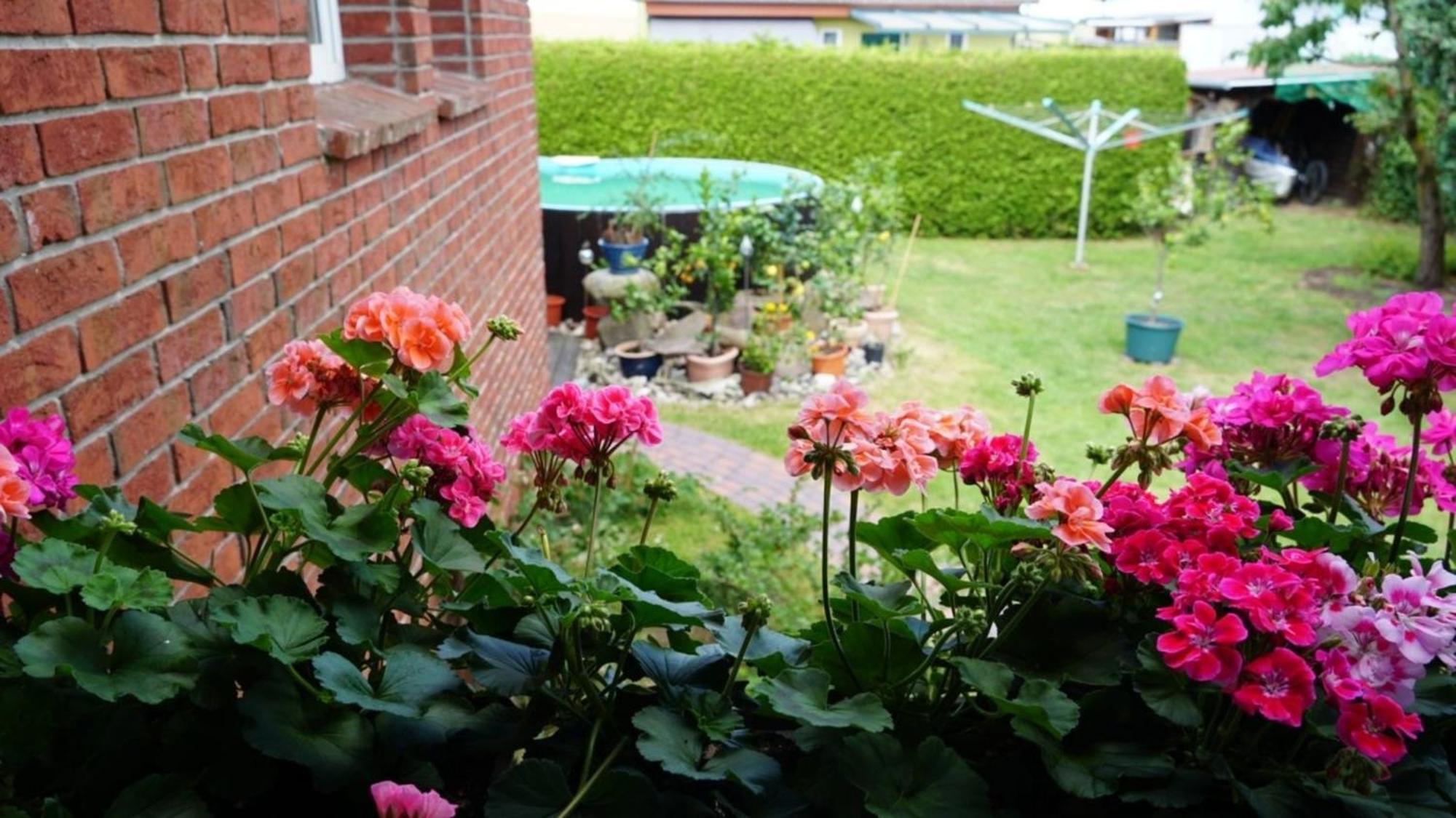 Pension Limone Ferienwohnung 1 Neu Lindenberg Экстерьер фото