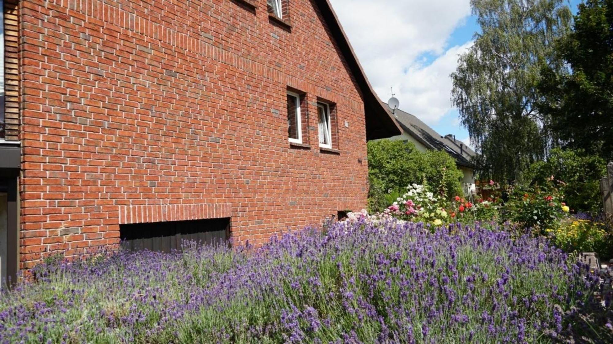 Pension Limone Ferienwohnung 1 Neu Lindenberg Экстерьер фото